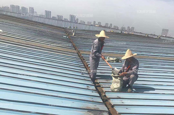 彩鋼瓦生銹了怎么辦，翻新需要打磨嗎？